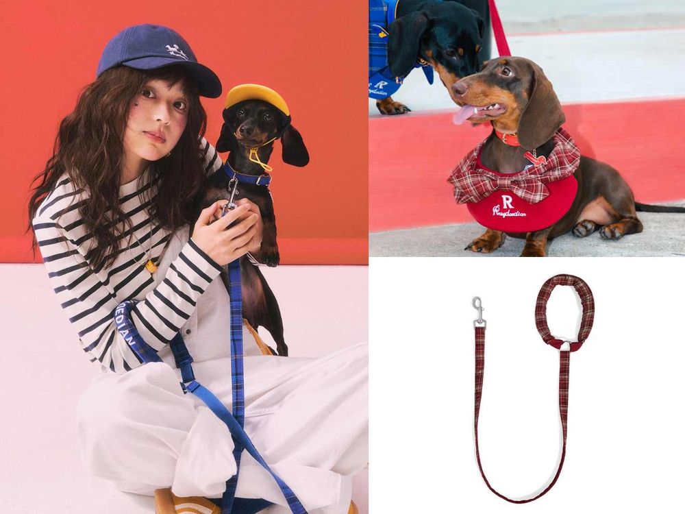 《許我耀眼》趙露思創個人品牌啦！ROSY DOEDIAN火速爆紅！愛犬還親自當模特？！-5