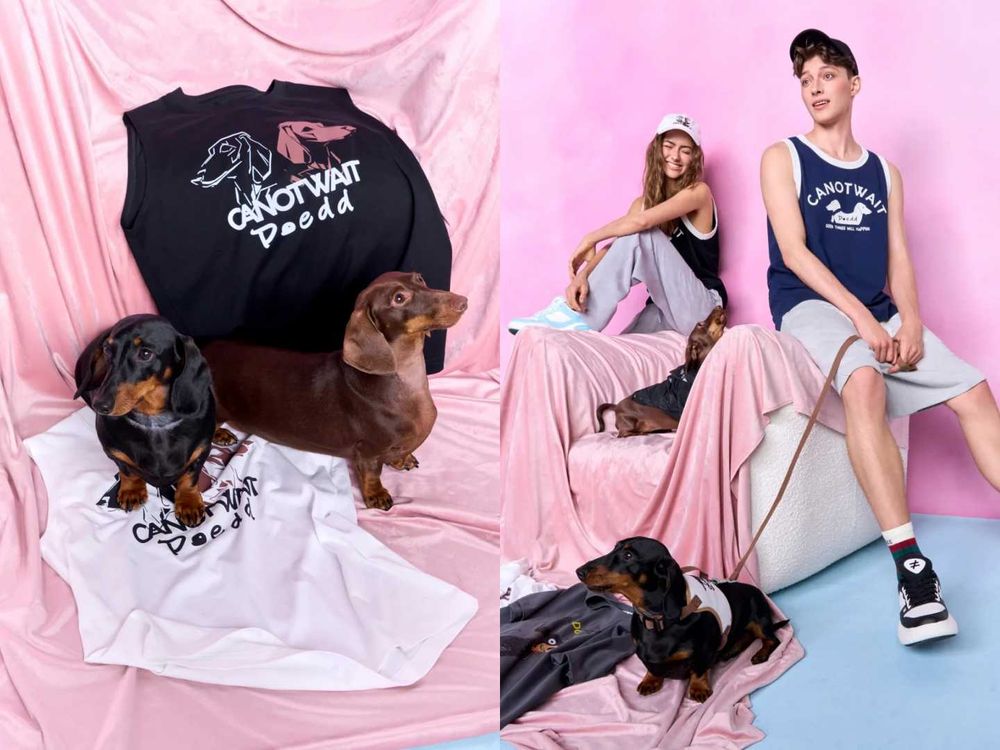 《許我耀眼》趙露思創個人品牌啦！ROSY DOEDIAN火速爆紅！愛犬還親自當模特？！-8