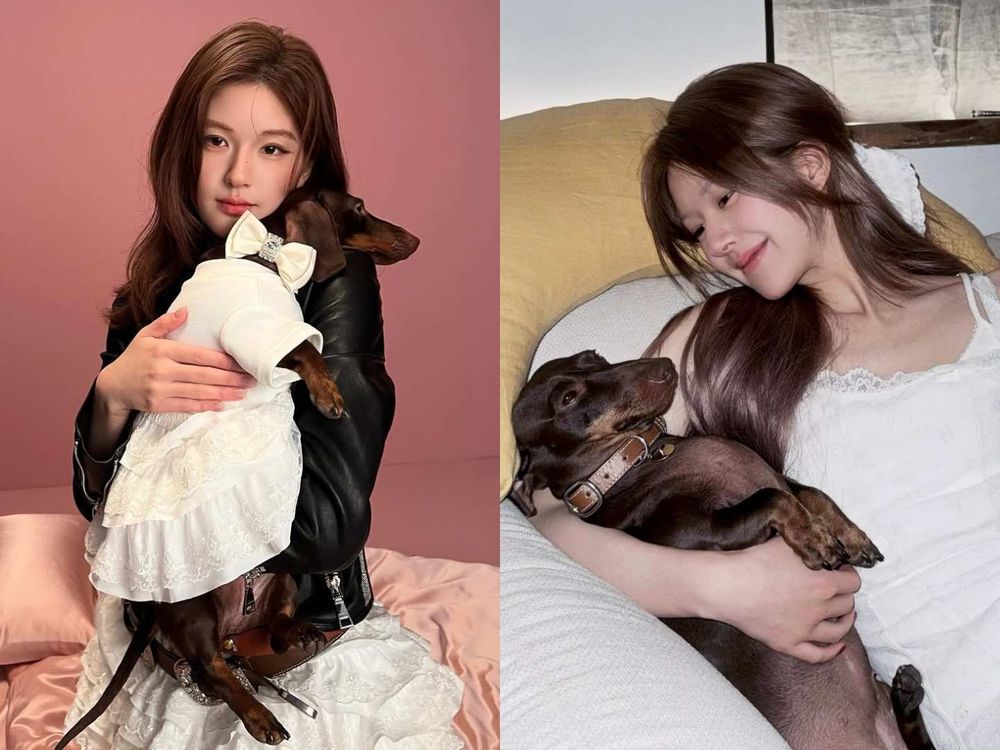 《許我耀眼》趙露思創個人品牌啦！ROSY DOEDIAN火速爆紅！愛犬還親自當模特？！-11