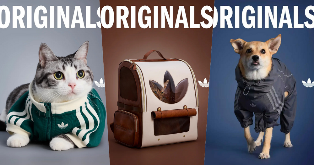 愛迪達真的很會！adidas寵物系列再推「秋冬新款」啦！毛孩版運動外套、背心可愛到爆！-1