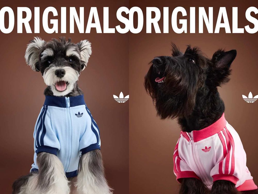 愛迪達真的很會！adidas寵物系列再推「秋冬新款」啦！毛孩版運動外套、背心可愛到爆！-3