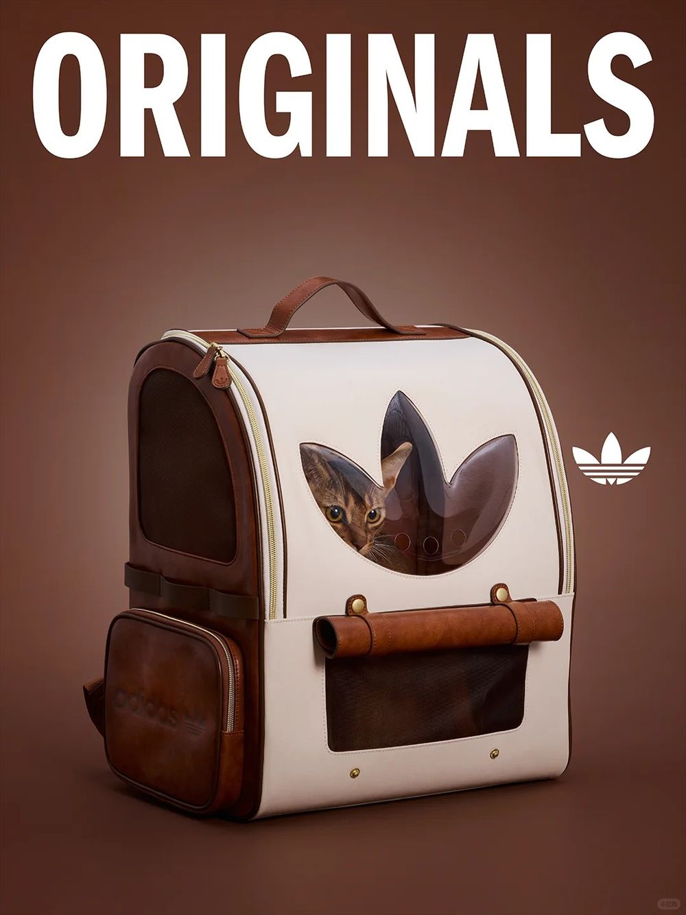 愛迪達真的很會！adidas寵物系列再推「秋冬新款」啦！毛孩版運動外套、背心可愛到爆！-4