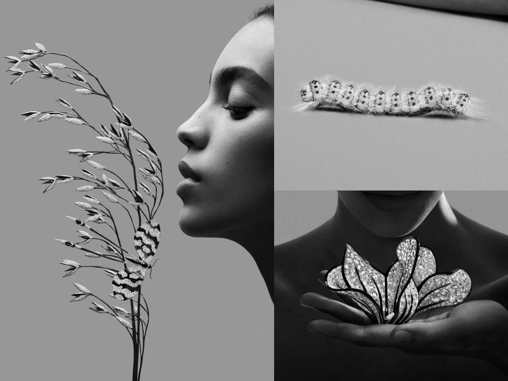 用看得也心滿意足！Boucheron全新高級珠寶！韓韶禧同款「胸針、戒指」美到眼睛移不開！-8