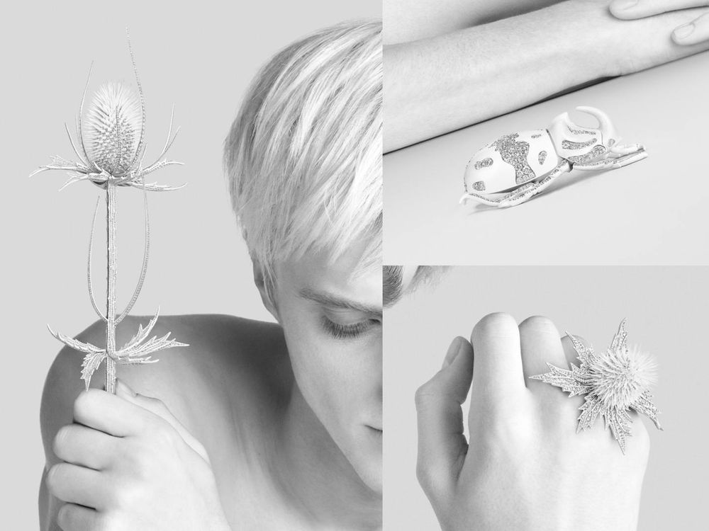 用看得也心滿意足！Boucheron全新高級珠寶！韓韶禧同款「胸針、戒指」美到眼睛移不開！-9