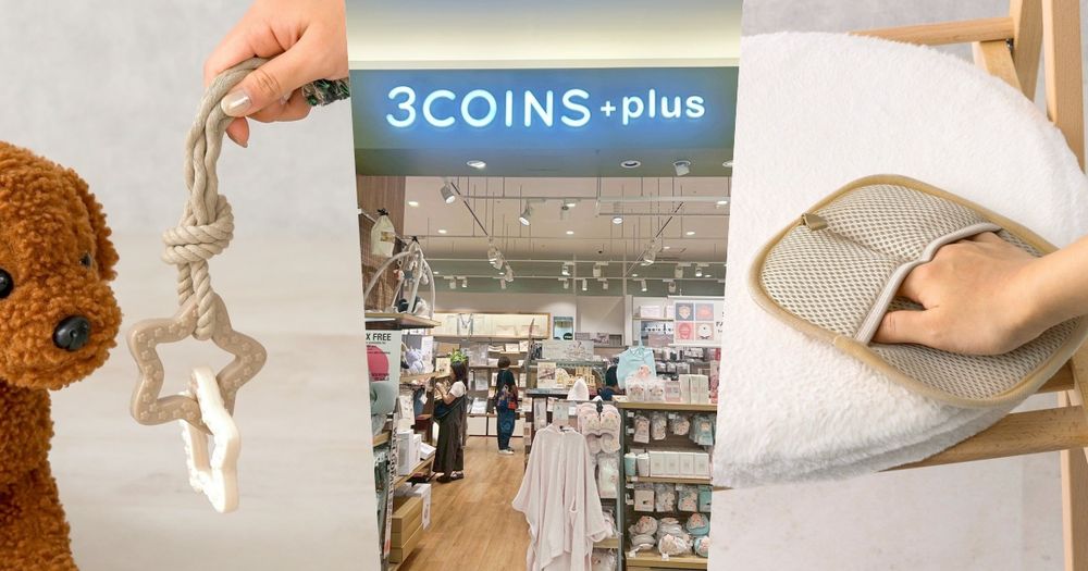 日本3COINS必買7大寵物用品推薦！超實用「電動除毛刀、潔牙小玩具、貓砂收集墊」百元就能收！-1
