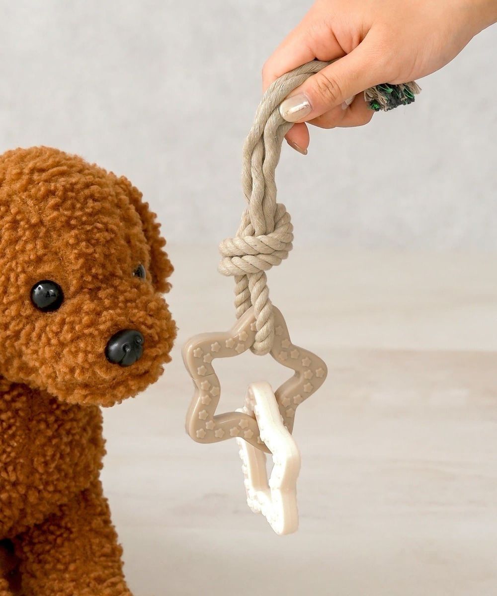 日本3COINS必買7大寵物用品推薦！超實用「電動除毛刀、潔牙小玩具、貓砂收集墊」百元就能收！-13