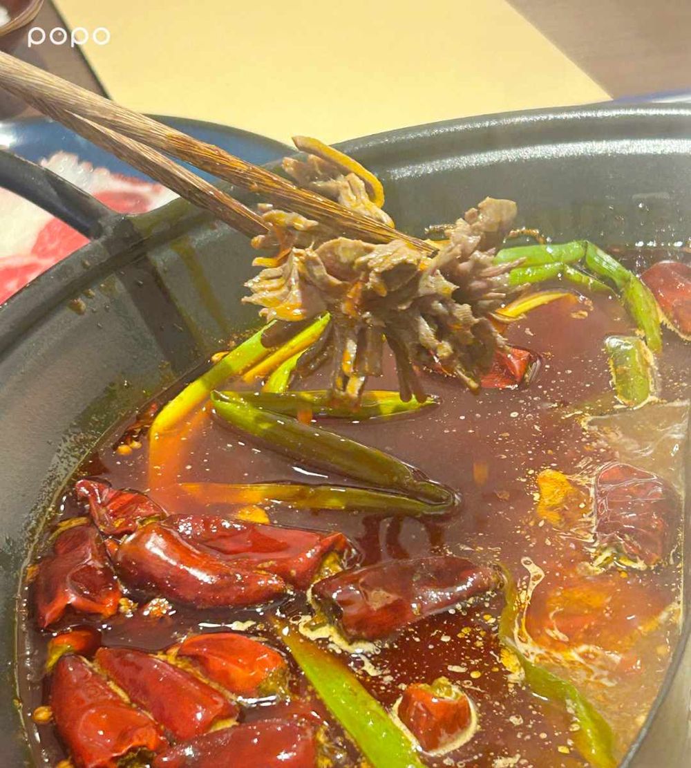 2026台北麻辣鍋推薦！馮校長老火鍋「四川大紅鍋、香菜牛肉、九宮格拼盤」菜單&必點品項一次看！-9