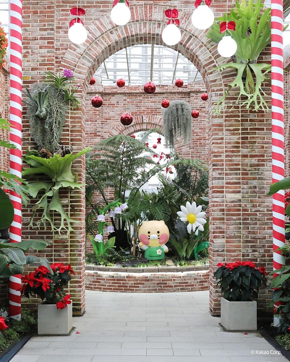 韓國人氣植物園跟Kakao Friends推聯名特展！園丁春植萌翻必拍、還有限定「賞花萊恩玩偶&小貼紙」要買！-8