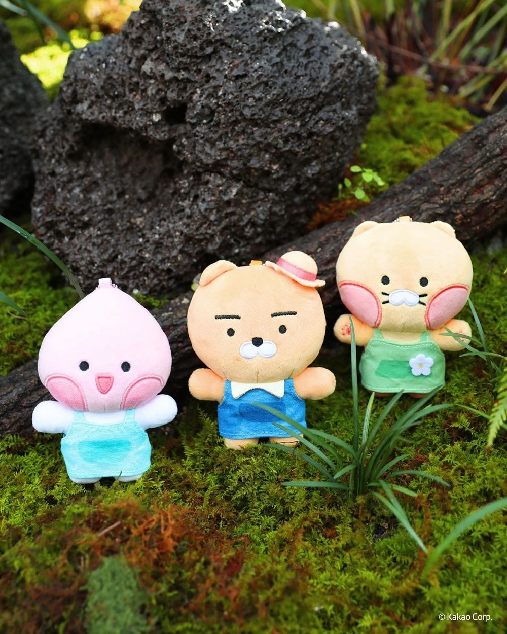 韓國人氣植物園跟Kakao Friends推聯名特展！園丁春植萌翻必拍、還有限定「賞花萊恩玩偶&小貼紙」要買！-5