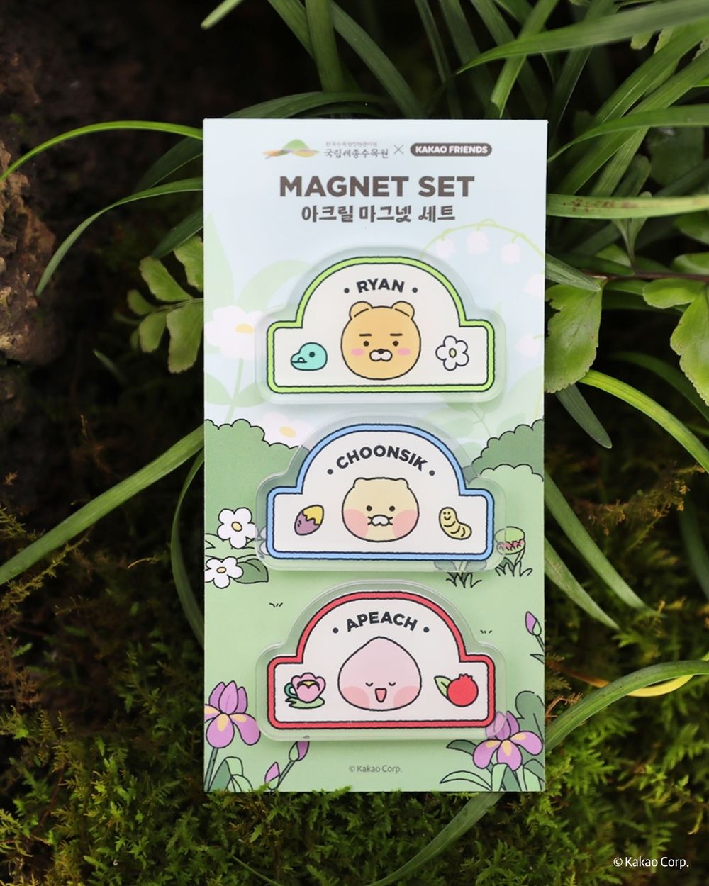 韓國人氣植物園跟Kakao Friends推聯名特展！園丁春植萌翻必拍、還有限定「賞花萊恩玩偶&小貼紙」要買！-6