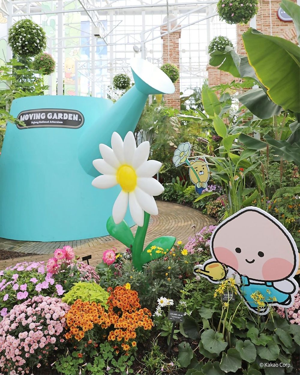 韓國人氣植物園跟Kakao Friends推聯名特展！園丁春植萌翻必拍、還有限定「賞花萊恩玩偶&小貼紙」要買！-4
