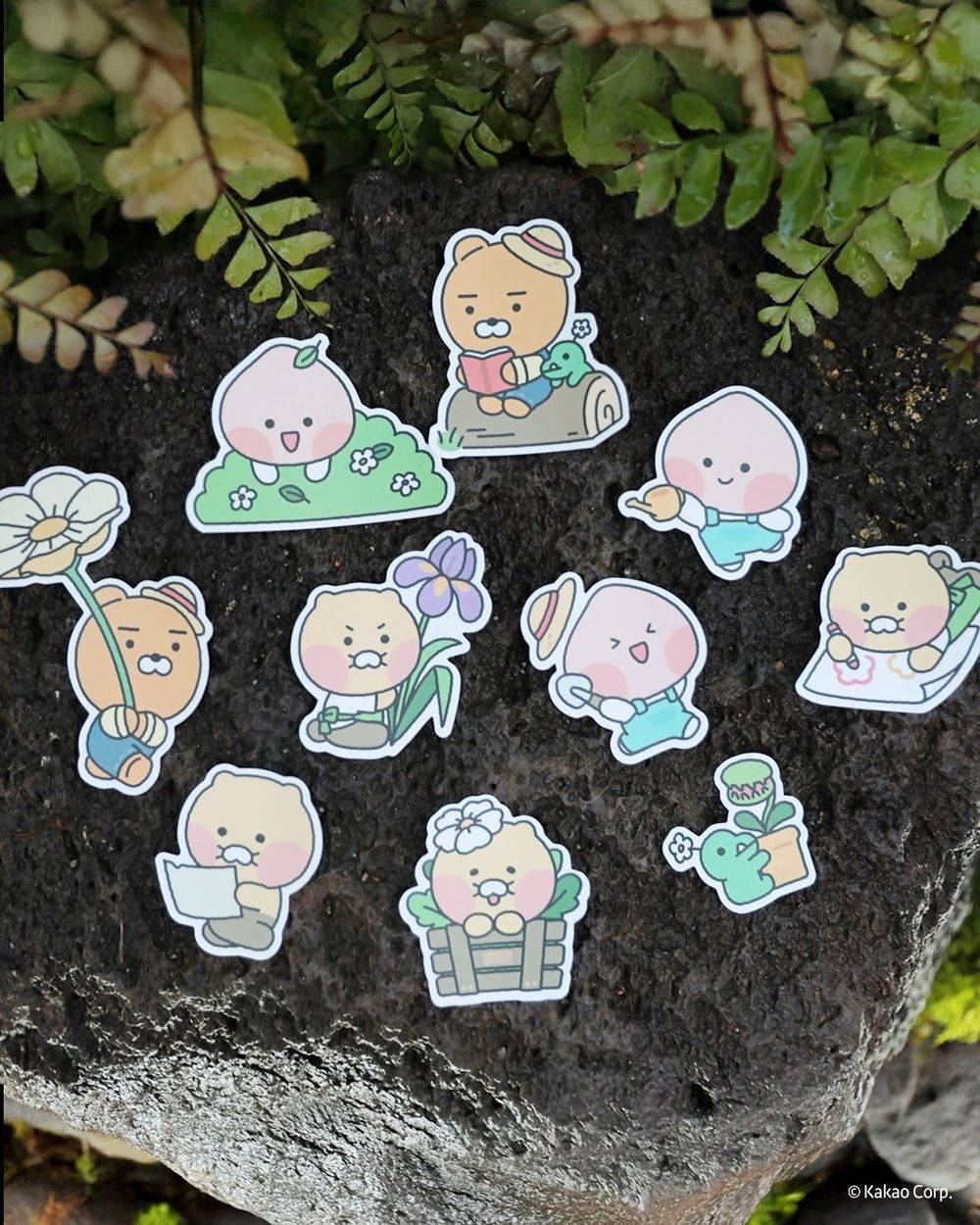 韓國人氣植物園跟Kakao Friends推聯名特展！園丁春植萌翻必拍、還有限定「賞花萊恩玩偶&小貼紙」要買！-10