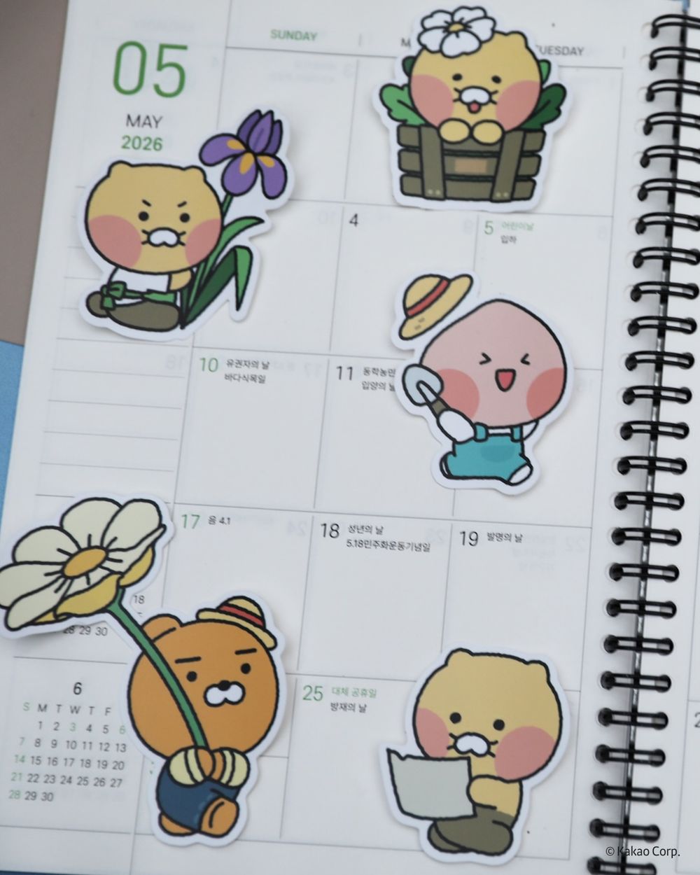 韓國人氣植物園跟Kakao Friends推聯名特展！園丁春植萌翻必拍、還有限定「賞花萊恩玩偶&小貼紙」要買！-11