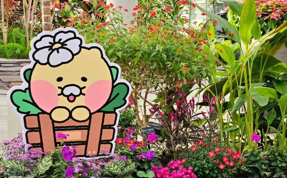 韓國人氣植物園跟Kakao Friends推聯名特展！園丁春植萌翻必拍、還有限定「賞花萊恩玩偶&小貼紙」要買！-12