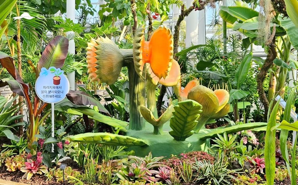 韓國人氣植物園跟Kakao Friends推聯名特展！園丁春植萌翻必拍、還有限定「賞花萊恩玩偶&小貼紙」要買！-14