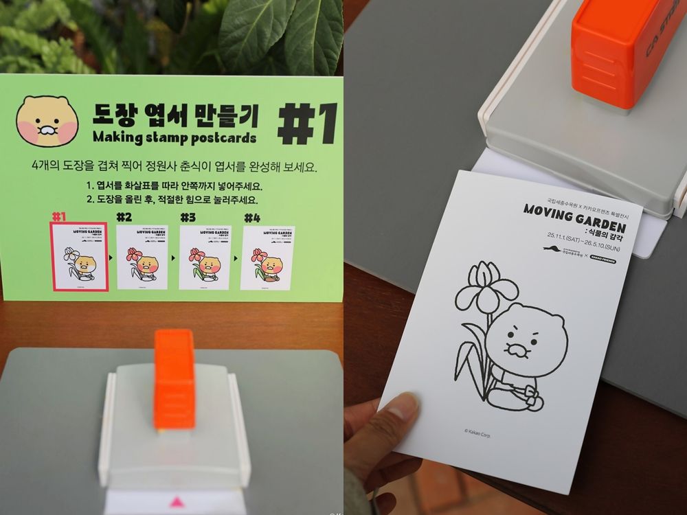 韓國人氣植物園跟Kakao Friends推聯名特展！園丁春植萌翻必拍、還有限定「賞花萊恩玩偶&小貼紙」要買！-17