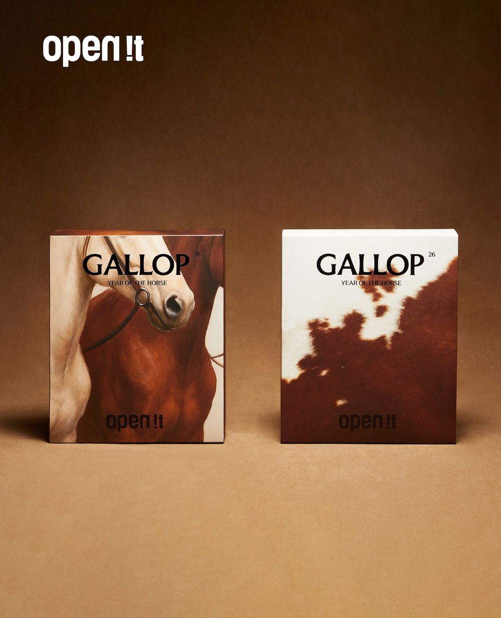 2026新年禮盒推薦！大武山牧場LINE FRIENDS大富翁禮盒太可愛、海邊走走「開心果奶油脆糖」療癒爆炸！-15