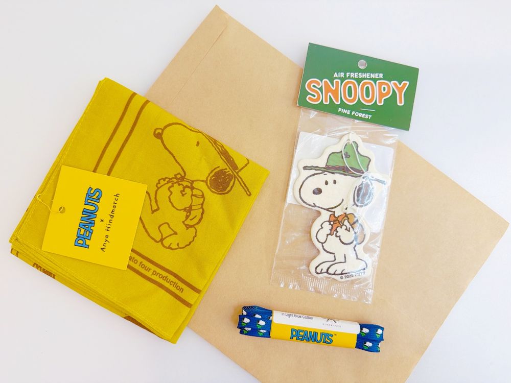 主角不是小眼睛！Anya Hindmarch史努比聯名來了！「探險SNOOPY、糊塗塔克」錢包卡套超療癒！-3