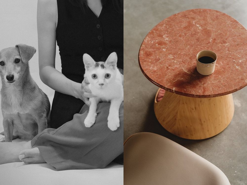 專門為毛寶貝設計！人寵生活美學品牌PAMITIE高級感拉滿！「寵物、主人」共用傢俱也超舒適！-5