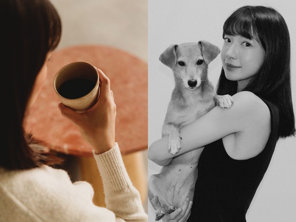 專門為毛寶貝設計！人寵生活美學品牌PAMITIE高級感拉滿！「寵物、主人」共用傢俱也超舒適！-7