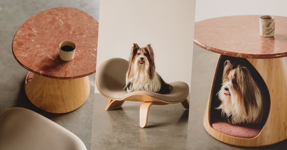 專門為毛寶貝設計！人寵生活美學品牌PAMITIE高級感拉滿！「寵物、主人」共用傢俱也超舒適！-8