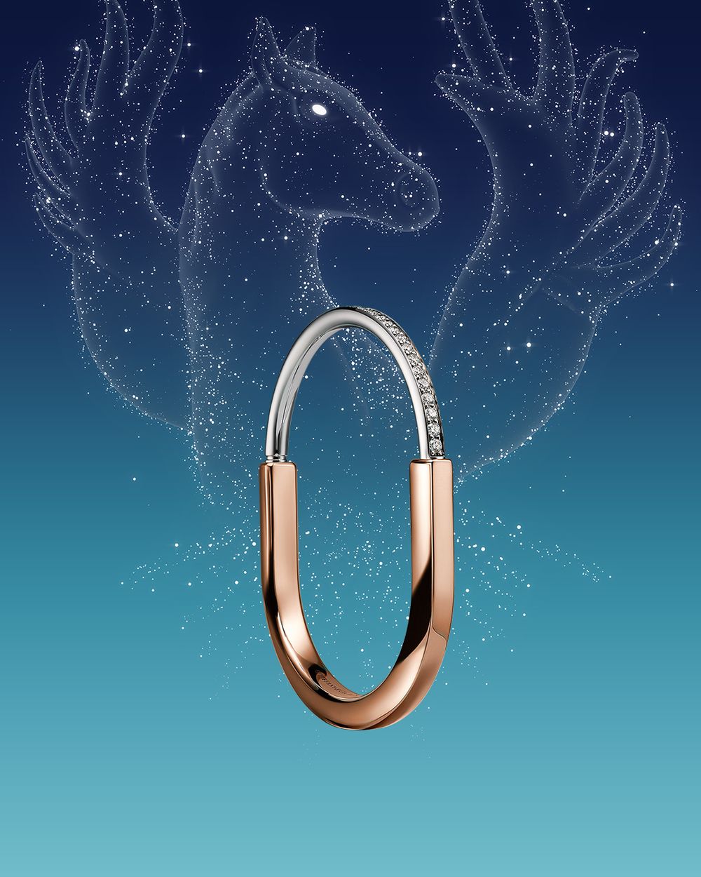 新年犒賞禮物來Tiffany & Co.挑！Rosé最愛戒指、Knot幸運鑰匙小項鍊...值得一生珍藏！-10