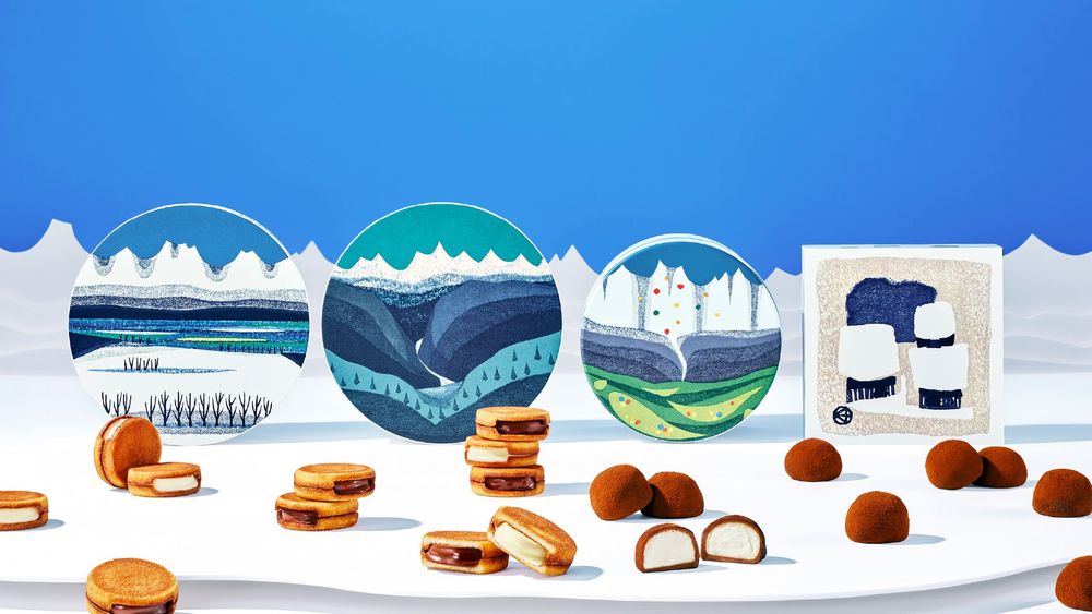 北海道人氣伴手禮SNOWS來台快閃！日妞超愛「生巧克力夾心餅、松露可可球」冬天過了就買不到！-9