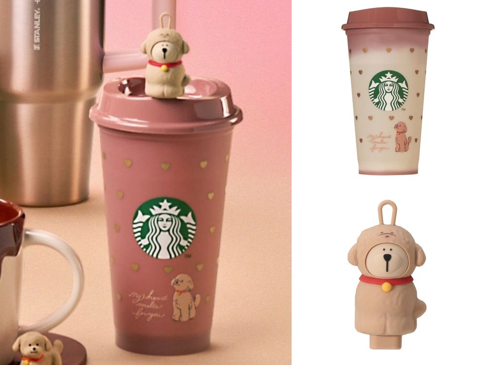 日本星巴克2026情人節限定商品太燒！超可愛「巧克力馬克杯、貴賓狗愛心變色水杯」這天開賣！-3