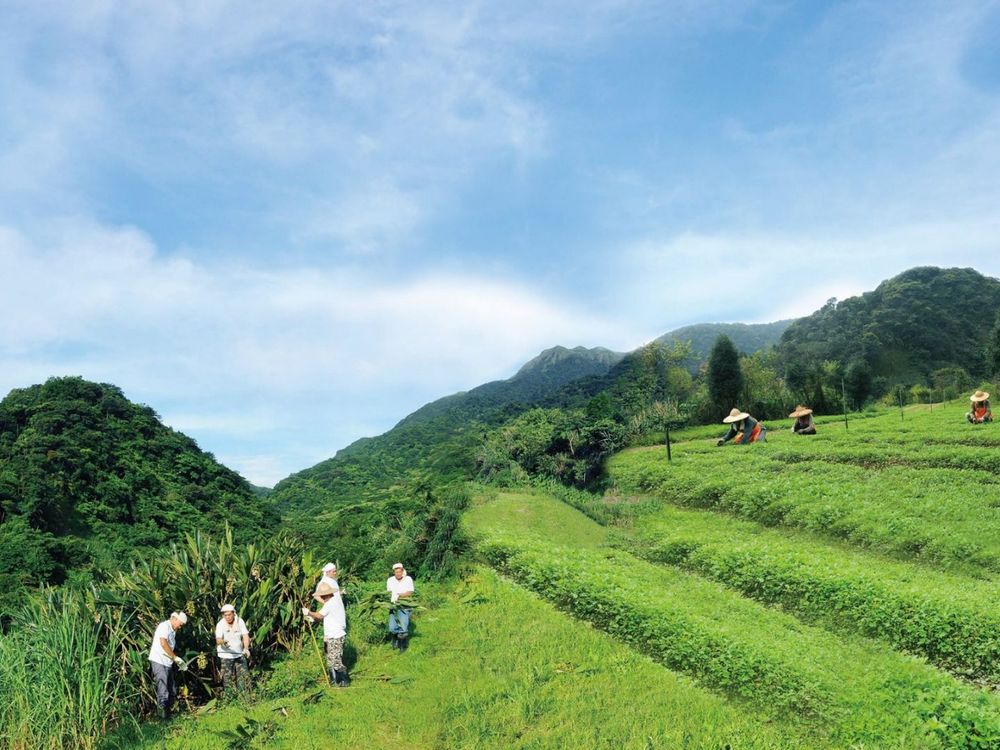 阿原香寓8號品牌體驗店正式開幕！全新情境擴香同步上市，清新草本、花草森林、茶香木質調三款新香、限時優惠開跑！-5