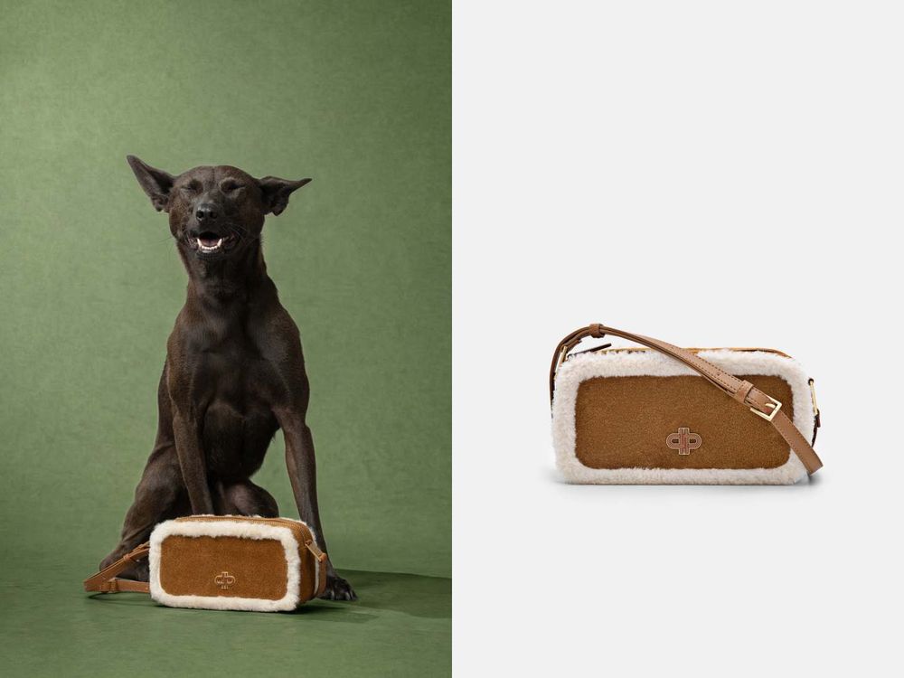 買包也能散播愛心！PEDRO再度邀浪浪拍廣告！毛寶貝揹Demi通勤包太可愛、今年第一咖就選它！-3