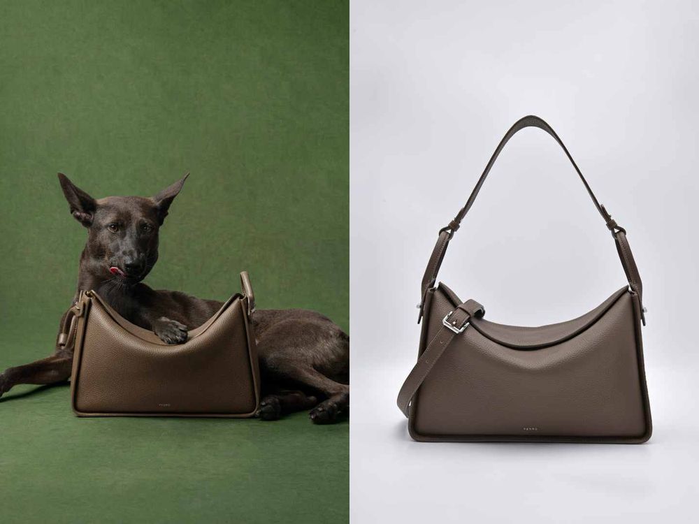 買包也能散播愛心！PEDRO再度邀浪浪拍廣告！毛寶貝揹Demi通勤包太可愛、今年第一咖就選它！-4