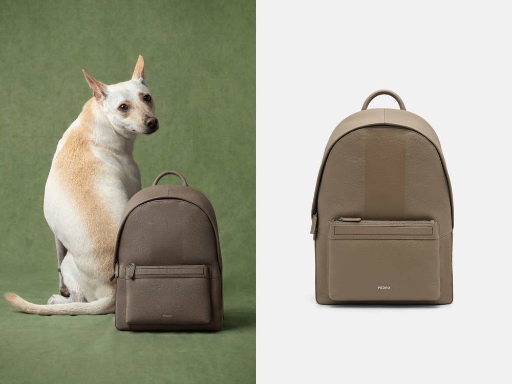 買包也能散播愛心！PEDRO再度邀浪浪拍廣告！毛寶貝揹Demi通勤包太可愛、今年第一咖就選它！-2