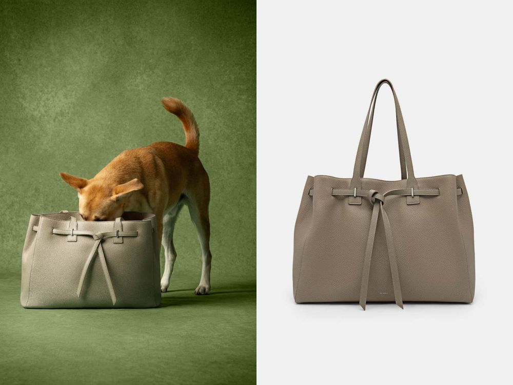 買包也能散播愛心！PEDRO再度邀浪浪拍廣告！毛寶貝揹Demi通勤包太可愛、今年第一咖就選它！-6