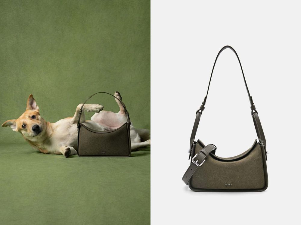 買包也能散播愛心！PEDRO再度邀浪浪拍廣告！毛寶貝揹Demi通勤包太可愛、今年第一咖就選它！-5
