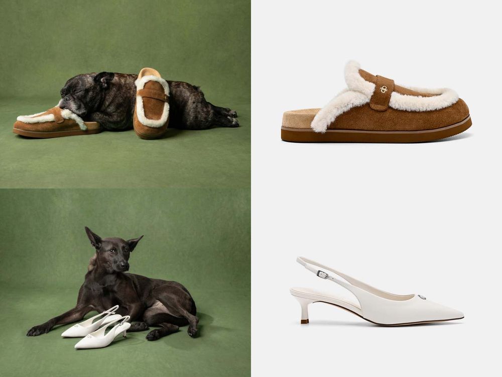 買包也能散播愛心！PEDRO再度邀浪浪拍廣告！毛寶貝揹Demi通勤包太可愛、今年第一咖就選它！-7