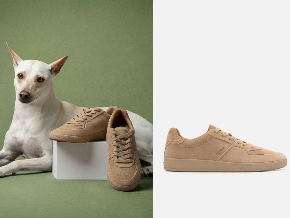 買包也能散播愛心！PEDRO再度邀浪浪拍廣告！毛寶貝揹Demi通勤包太可愛、今年第一咖就選它！-9