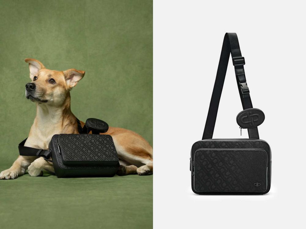 買包也能散播愛心！PEDRO再度邀浪浪拍廣告！毛寶貝揹Demi通勤包太可愛、今年第一咖就選它！-10