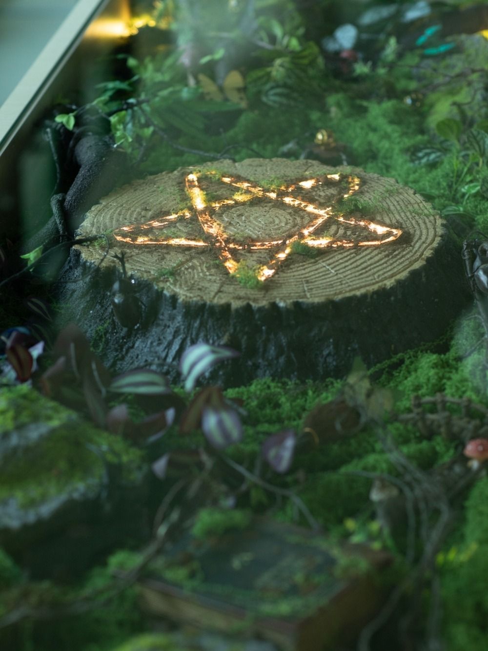 看BTS演唱會前就來這玩！高雄最新動物園區「野森動物學校」赤狐、樹懶20+種動物全都看得到太可愛！-3