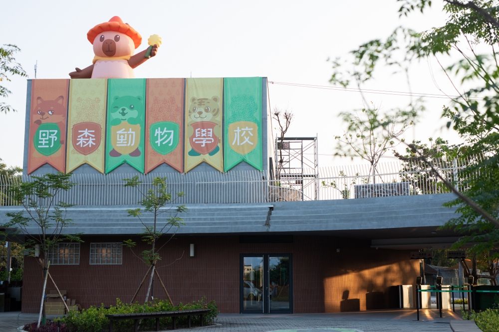 看BTS演唱會前就來這玩！高雄最新動物園區「野森動物學校」赤狐、樹懶20+種動物全都看得到太可愛！-10