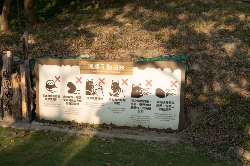 看BTS演唱會前就來這玩！高雄最新動物園區「野森動物學校」赤狐、樹懶20+種動物全都看得到太可愛！-9