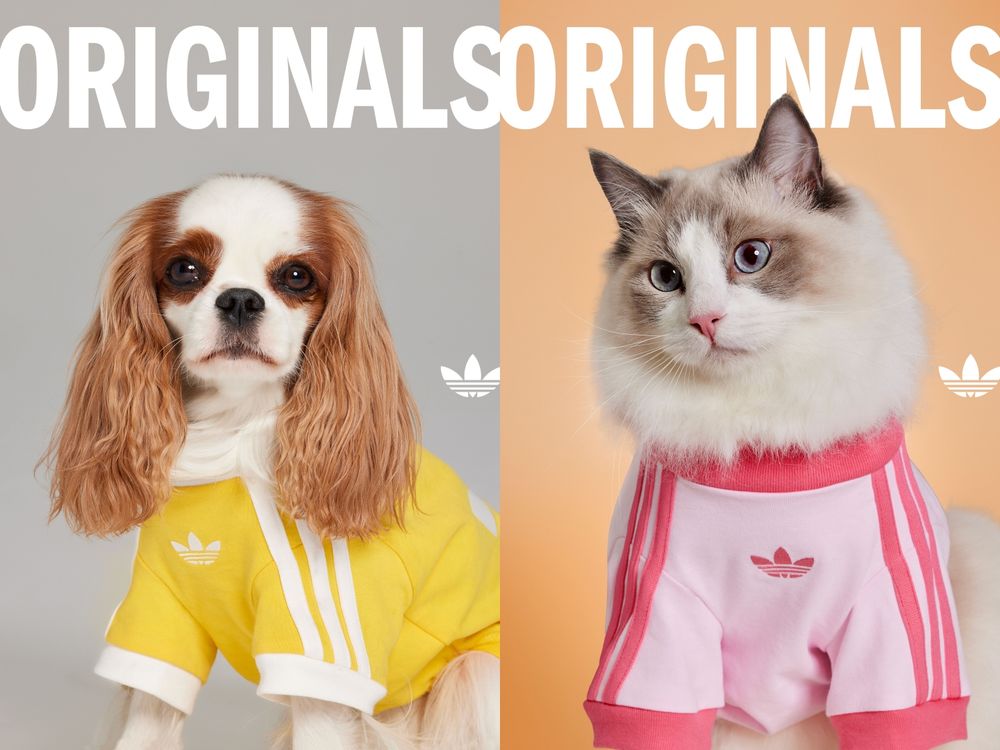 台灣終於買得到了！adidas新年寵物系列來了！竟然有「新中式外套」毛寶貝拜年戰服就它了！-12