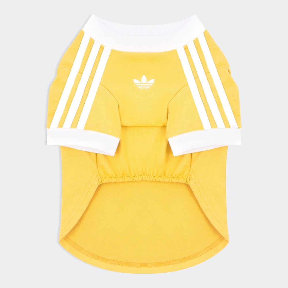 台灣終於買得到了！adidas新年寵物系列來了！竟然有「新中式外套」毛寶貝拜年戰服就它了！-14