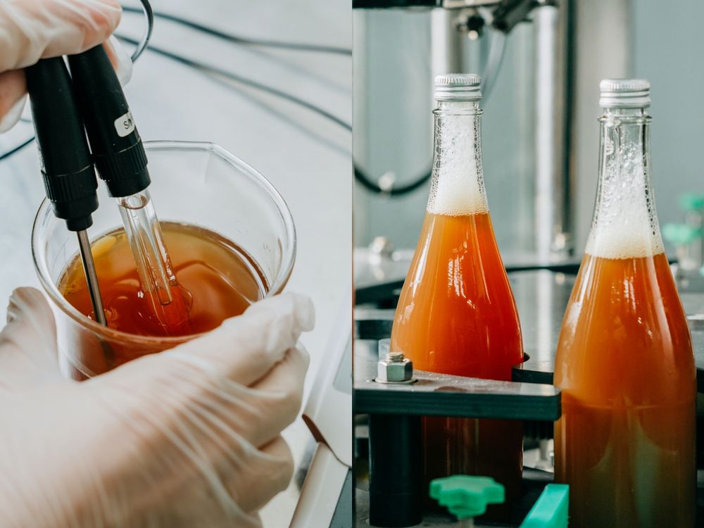 2026過年年菜就配康普茶！曾的茶「東方美人康普茶、東方美人氣泡茶」淡雅茶香+細緻口感一喝就上癮！-2