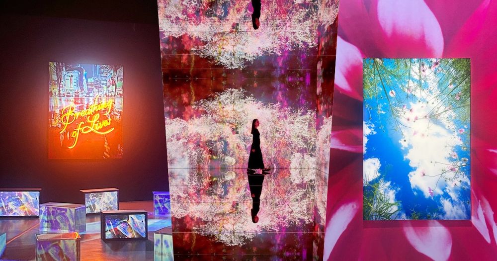 2026新年必逛「蜷川實花展」！「生命的呼吸」台北限定小彩蛋、絕美聲光藝術8大展區必拍亮點一次看！-1