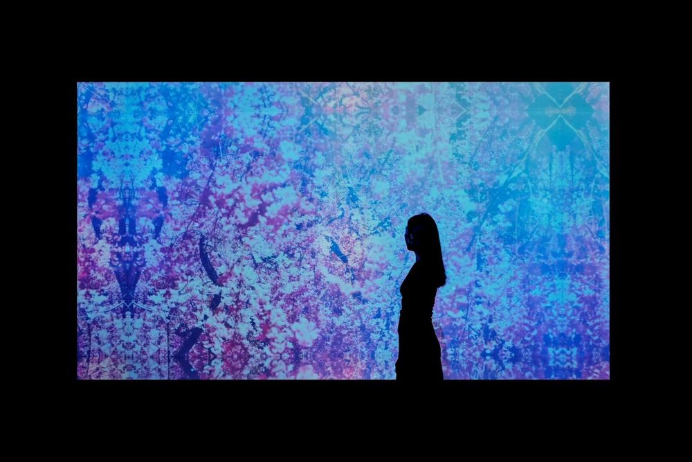 2026新年必逛「蜷川實花展」！「生命的呼吸」台北限定小彩蛋、絕美聲光藝術8大展區必拍亮點一次看！-12