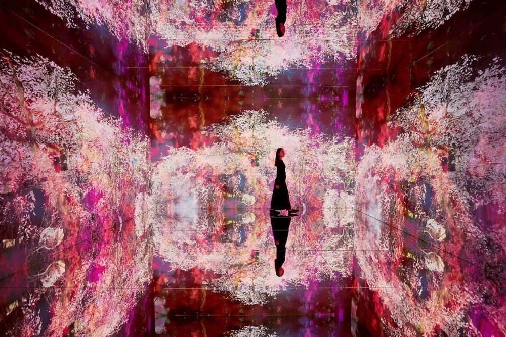 2026新年必逛「蜷川實花展」！「生命的呼吸」台北限定小彩蛋、絕美聲光藝術8大展區必拍亮點一次看！-16