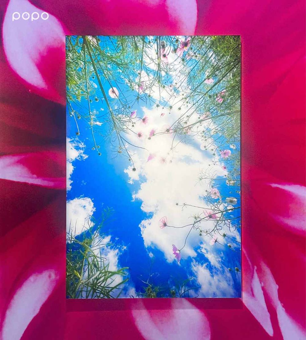 2026新年必逛「蜷川實花展」！「生命的呼吸」台北限定小彩蛋、絕美聲光藝術8大展區必拍亮點一次看！-5