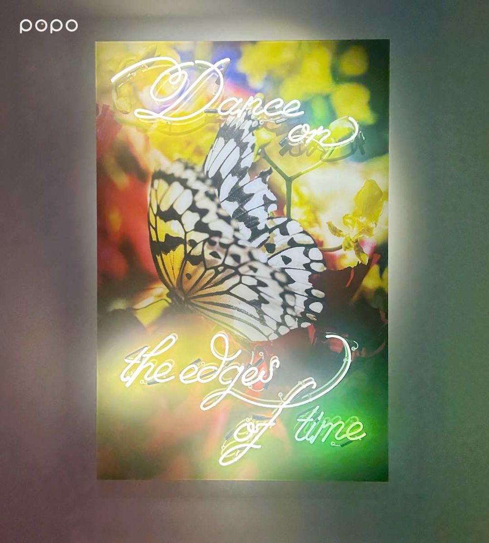 2026新年必逛「蜷川實花展」！「生命的呼吸」台北限定小彩蛋、絕美聲光藝術8大展區必拍亮點一次看！-7