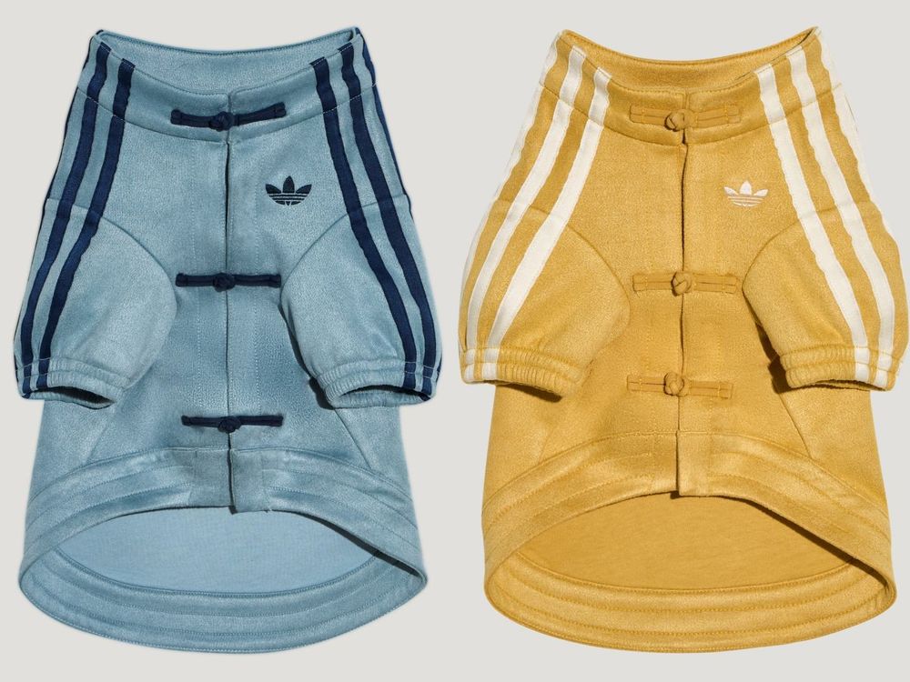 今年必買～愛迪達「新中式外套」爆紅！賣到快缺貨要速速下手！竟然還有寵物版可以穿親子裝！-9