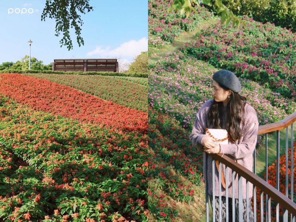 2026過年北部走春景點推薦！新北鶯歌「台版羚羊谷」隨便拍都美翻、桃園神社美到以為在日本！-10